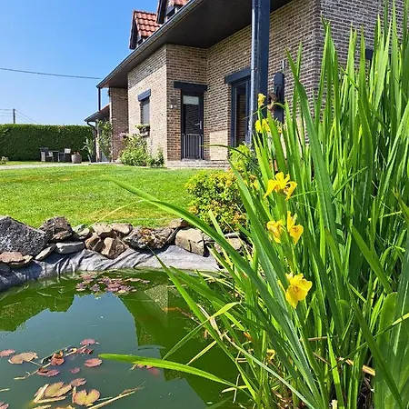 招待所 Chez Baf - - Houffalize