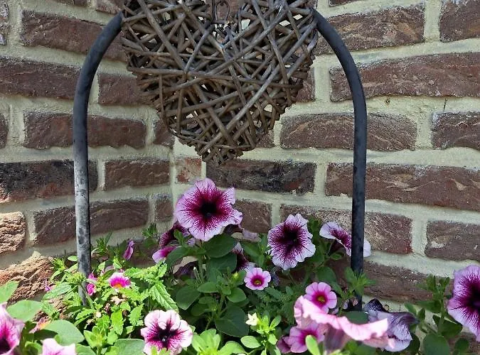 Maison d'hôtes Chez Baf - - Houffalize